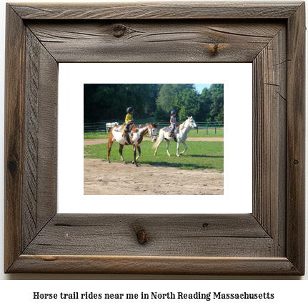 horse trail rides near me in North Reading, Massachusetts